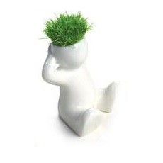 Peque&ntilde;as Cabezas de C&eacute;sped (8 uds.)